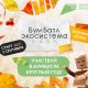 Приглашаем жителей Мордовии активно поддержать Всероссийскую акцию «БумБатл»