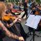 Камерный оркестр играет для молодоженов